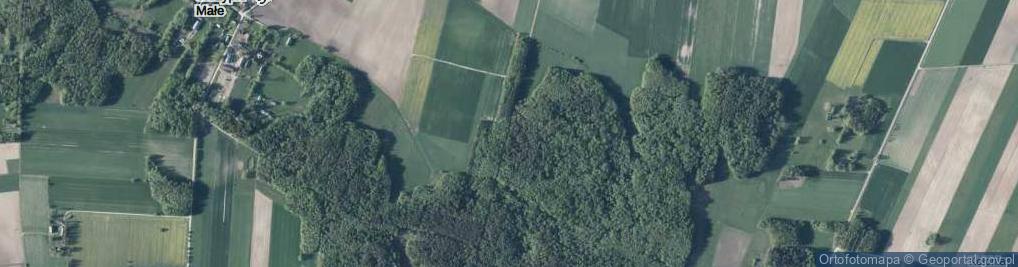 Zdjęcie satelitarne Skrzypki Duże ul.